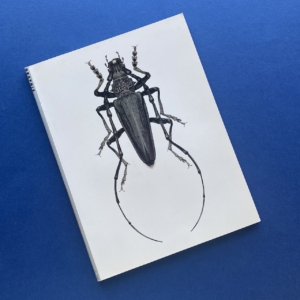 Graphis, International Journal of Graphic art and Applied art, N°255, Editions Graphis, 1988