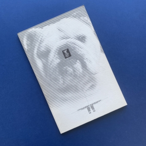 Créations graphiques en Bretagne, Design à la maison du livre, de l'image et du son, Villeurbanne Genève, 1994